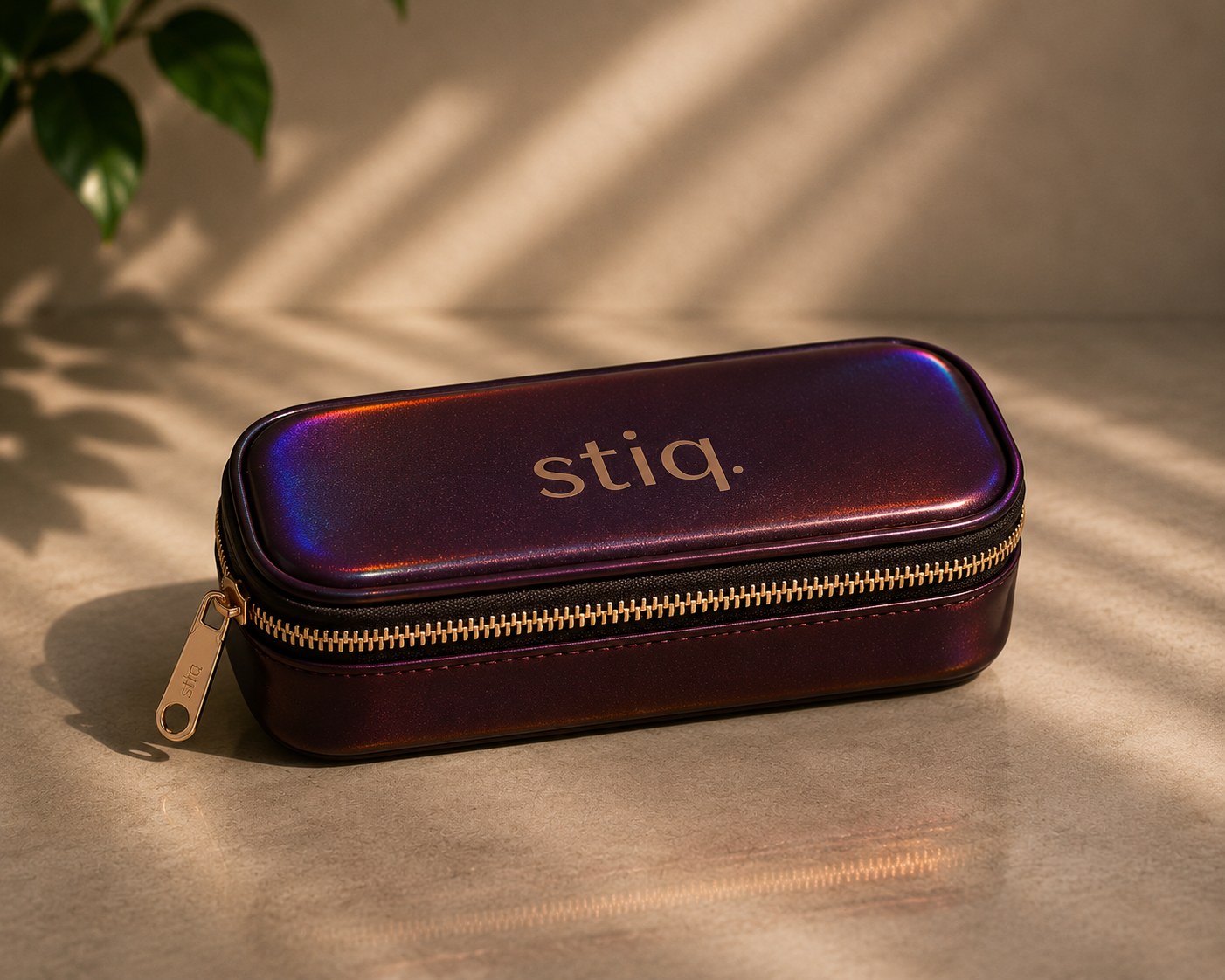 stiq iridescent travel case